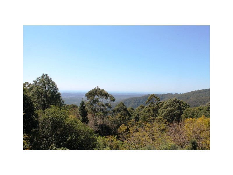 Tamborine Mountain QLD 4272
