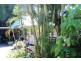 Tamborine Mountain QLD 4272