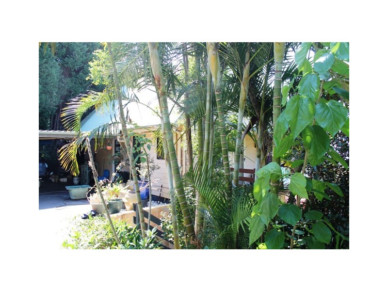 Tamborine Mountain QLD 4272