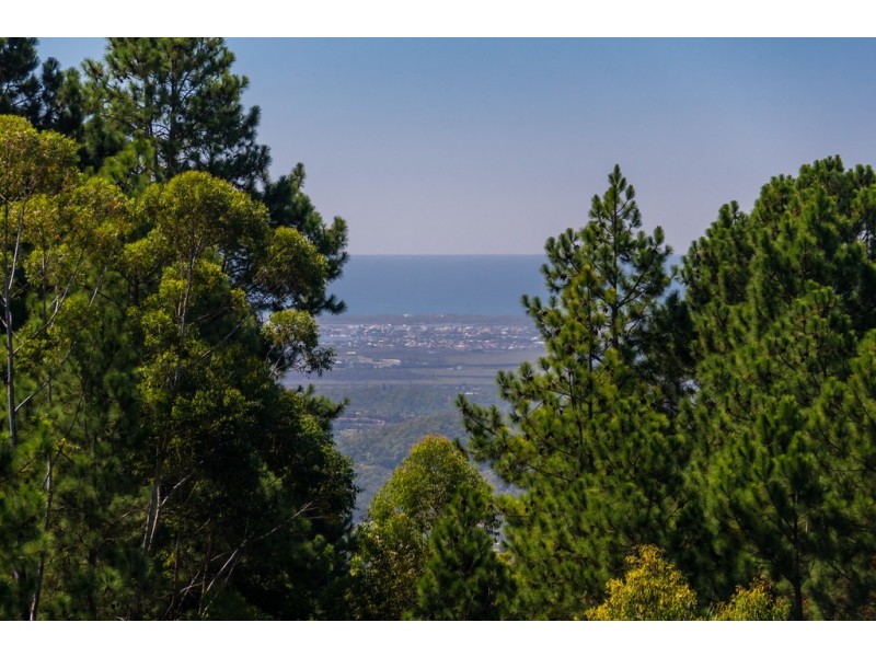 65 Guanaba Road, Tamborine Mountain QLD 4272