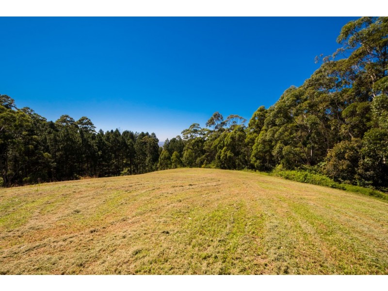 65 Guanaba Road, Tamborine Mountain QLD 4272