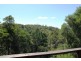 Tamborine Mountain QLD 4272