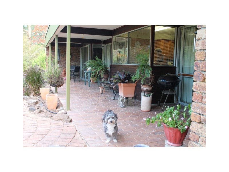 41 Ironbark Rd, Tamborine QLD 4270