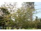 41 Ironbark Rd, Tamborine QLD 4270
