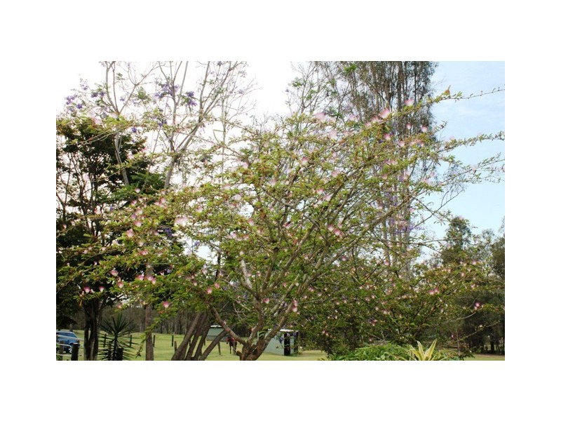 41 Ironbark Rd, Tamborine QLD 4270
