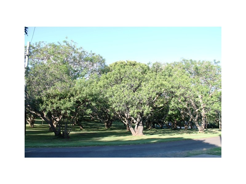 8 Golfers Cres, Tamborine Mountain QLD 4272