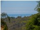 131 Licuala Drive, Tamborine Mountain QLD 4272