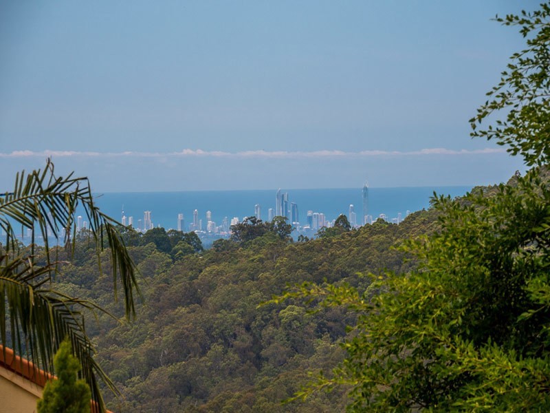 131 Licuala Drive, Tamborine Mountain QLD 4272