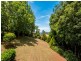 131 Licuala Drive, Tamborine Mountain QLD 4272