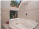 131 Licuala Drive, Tamborine Mountain QLD 4272