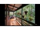 Tamborine Mountain QLD 4272