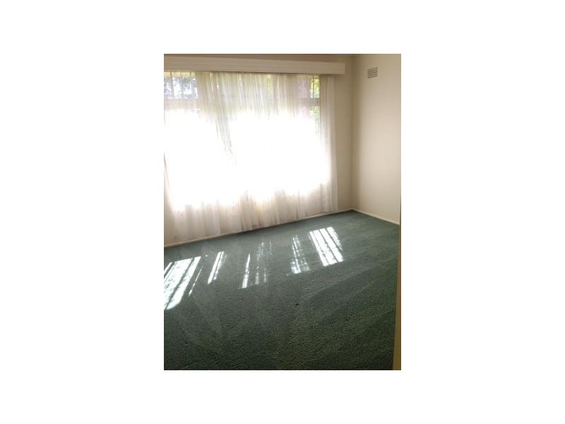 23 Travers Road, North Curl Curl NSW 2099