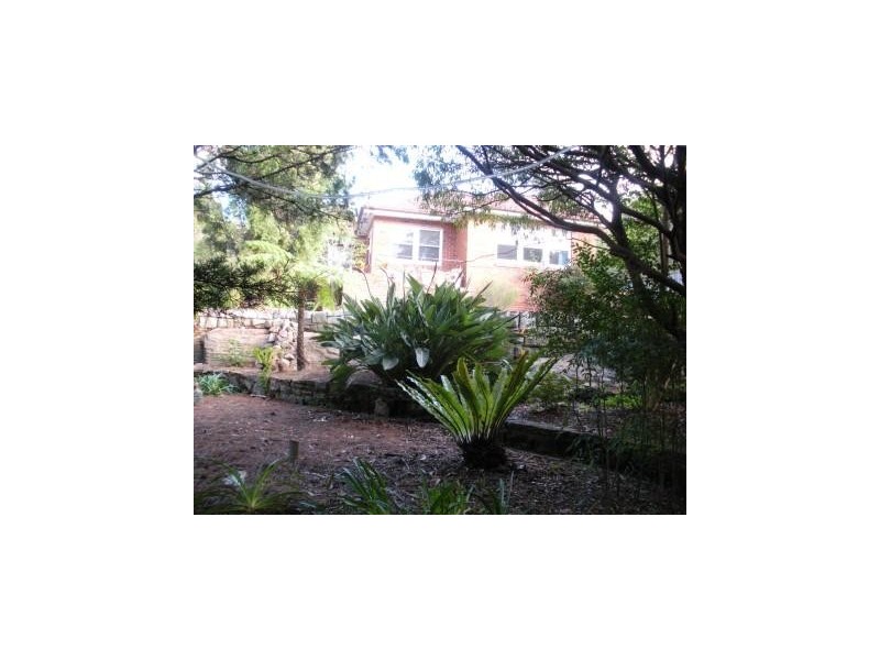 64 Serpentine Cr, Seaforth NSW 2092