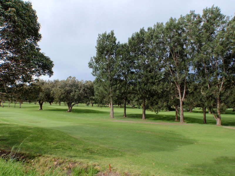 421 Condamine Street, Allambie Heights NSW 2100