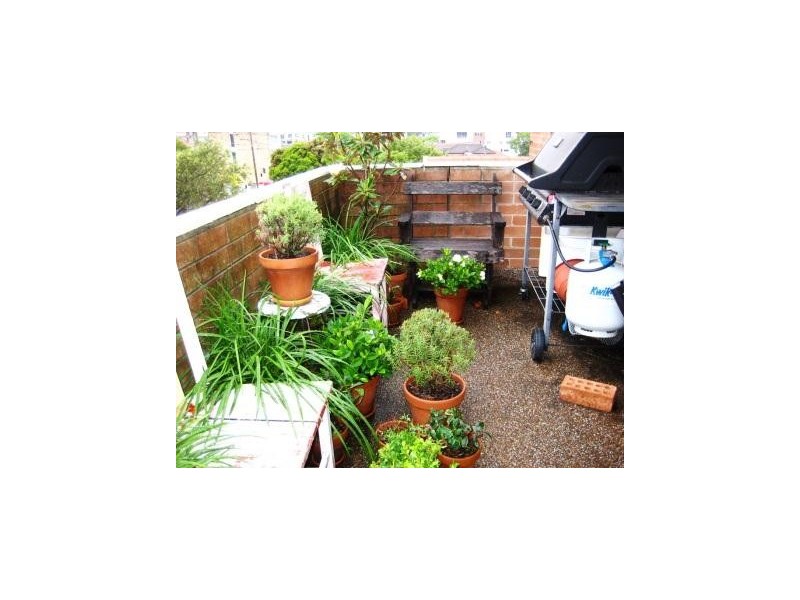 1/415 Sydney Road, Balgowlah NSW 2093