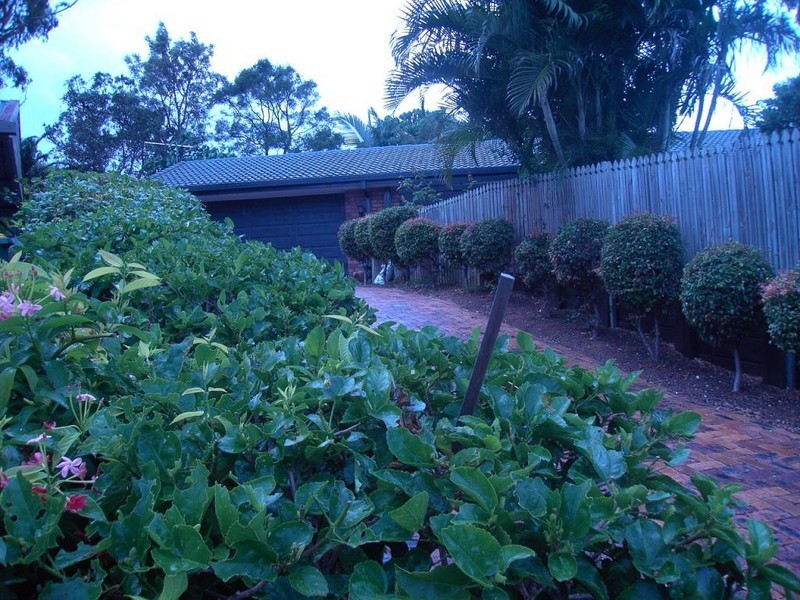10 Chinnock Street, Alexandra Hills QLD 4161