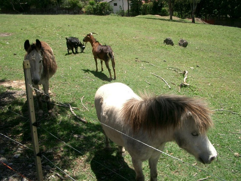 138 Allenby Rd, Wellington Point QLD 4160