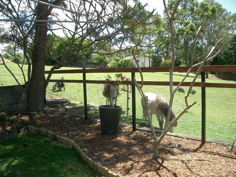 138 Allenby Rd, Wellington Point QLD 4160