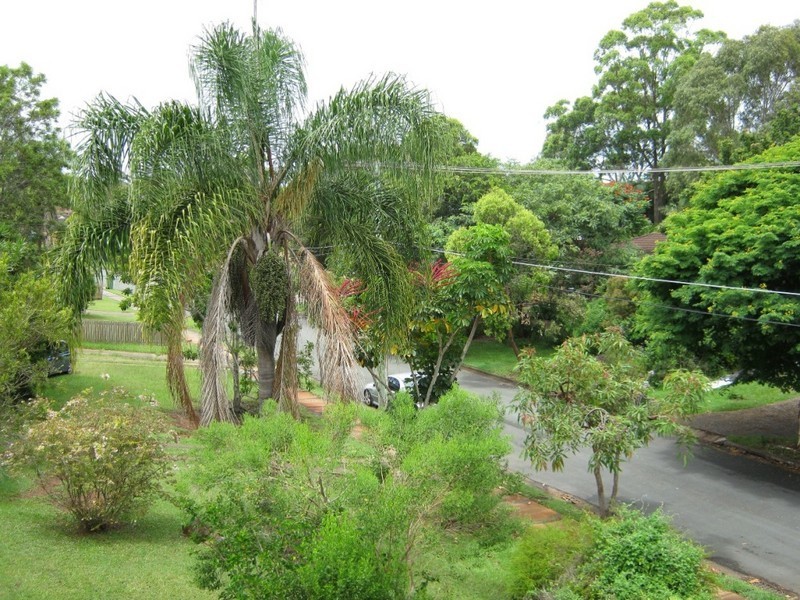 6 Hampshire Cres, Alexandra Hills QLD 4161