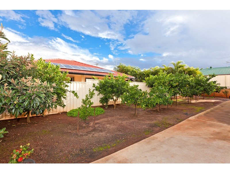 4 Karen Street, Cleveland QLD 4163