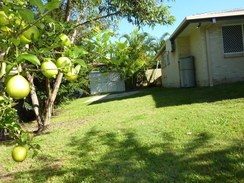 29 Silvara Circuit, Capalaba QLD 4157