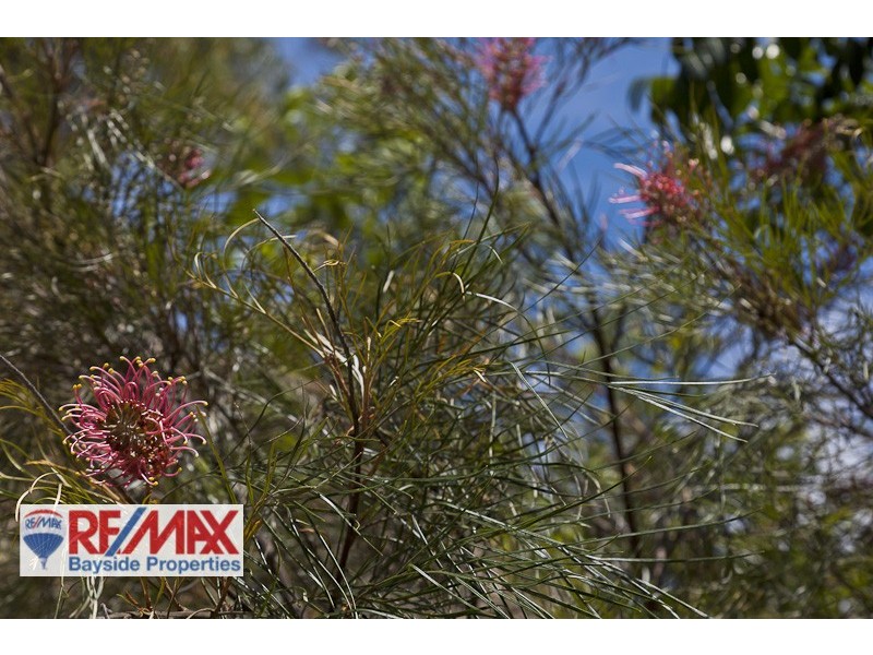 41 Sugar Glider Court, Mount Cotton QLD 4165