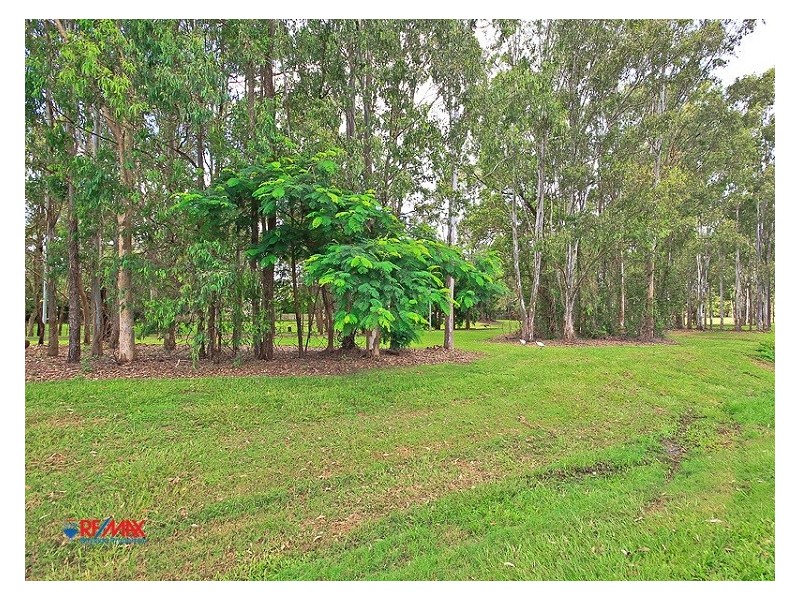 9/157 Long, Cleveland QLD 4163