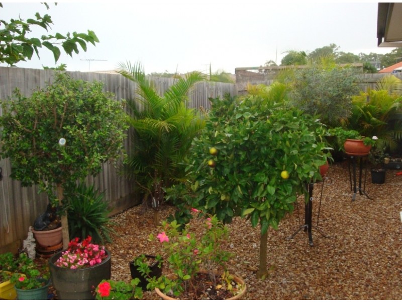 25 Caswell Cres, Redland Bay QLD 4165