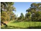 Wakerley QLD 4154