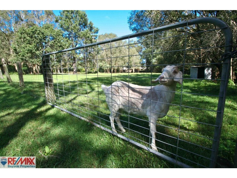 11 Venn Parade, Thornlands QLD 4164