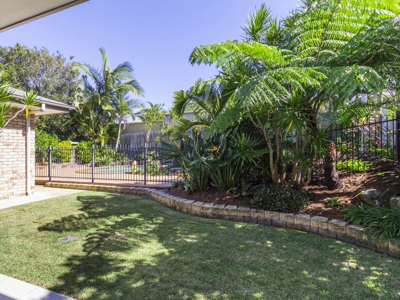 8 Nelson Street, Ormiston QLD 4160
