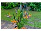 336 Woodlands Dr, Thornlands QLD 4164