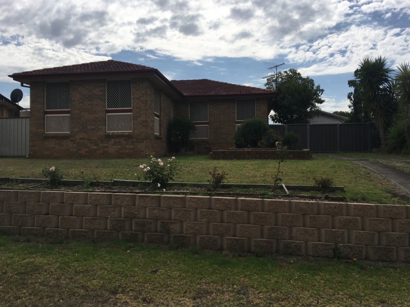 4 Pickett Avenue, Minto NSW 2566