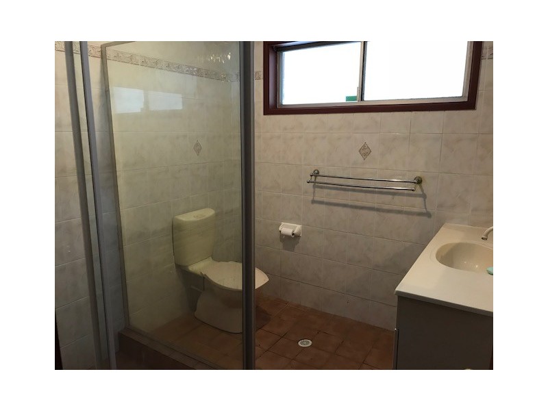 43 Nardoo Street, Ingleburn NSW 2565