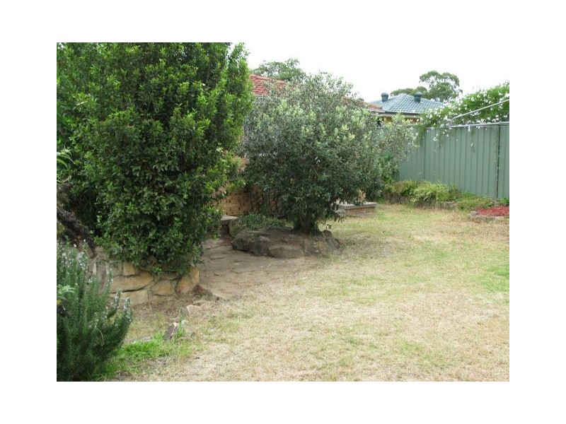 Macquarie Fields NSW 2564