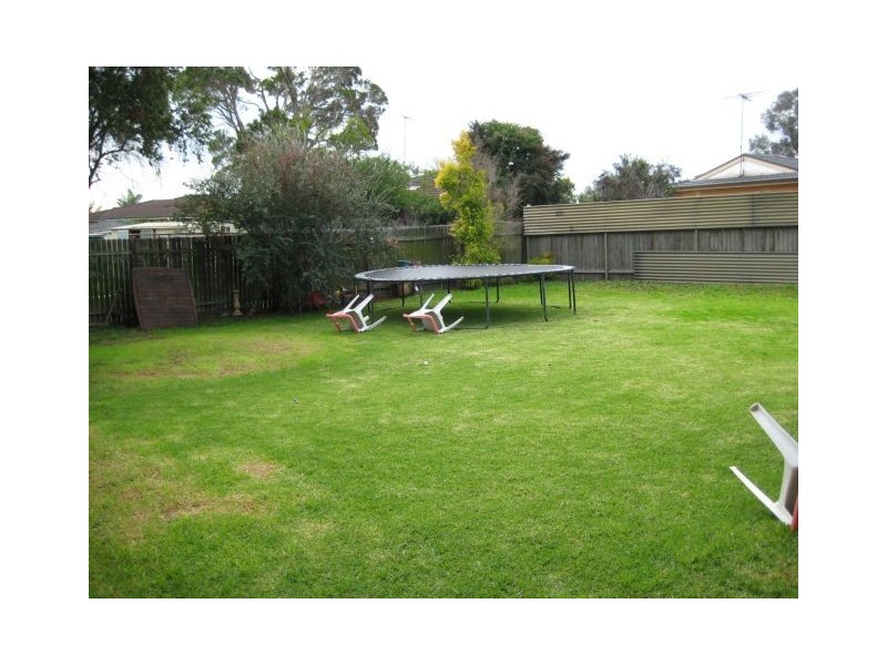 Campbelltown NSW 2560