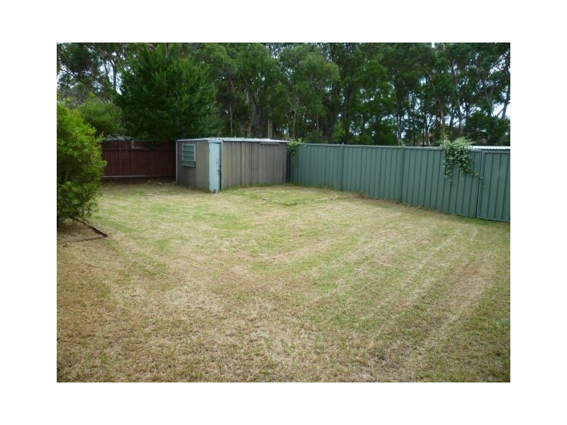 Macquarie Fields NSW 2564