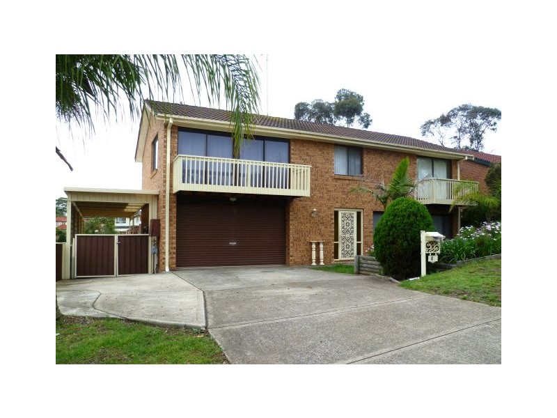 53 Fenton Crescent, Minto NSW 2566