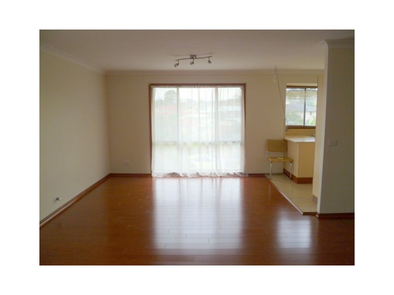 53 Fenton Crescent, Minto NSW 2566