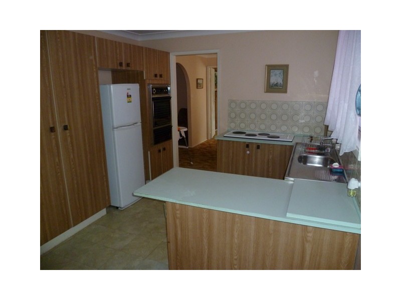 4 Collis Place, Minto NSW 2566