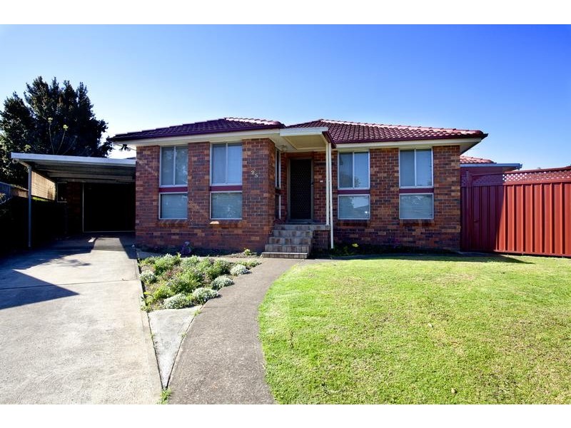 25 Pickett Avenue, Minto NSW 2566