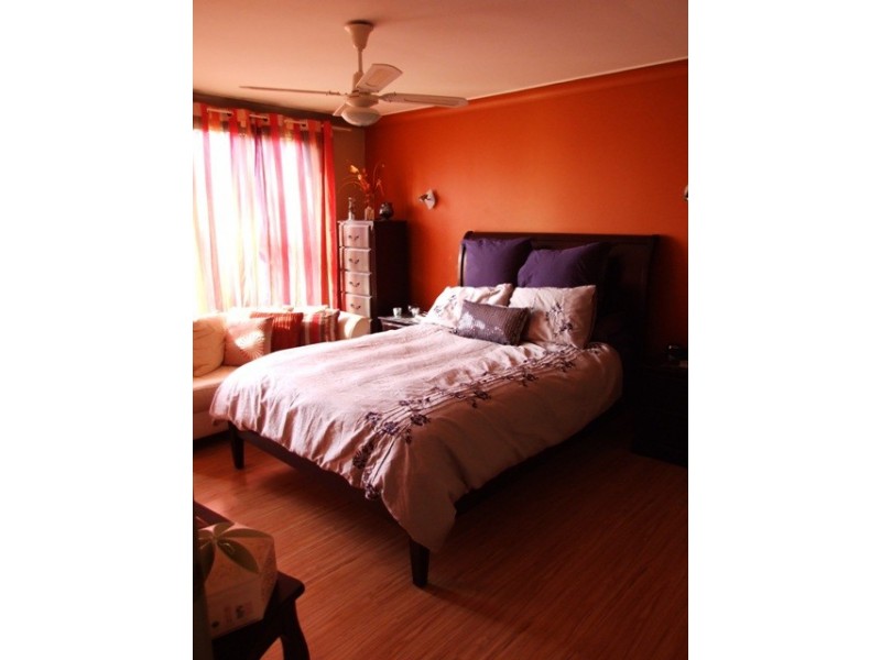 22 Nelson Street, Minto NSW 2566