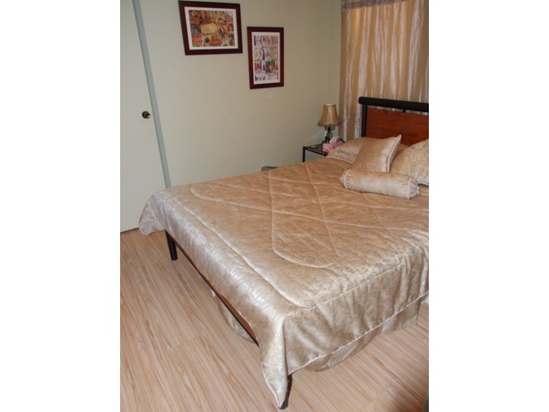 22 Nelson Street, Minto NSW 2566