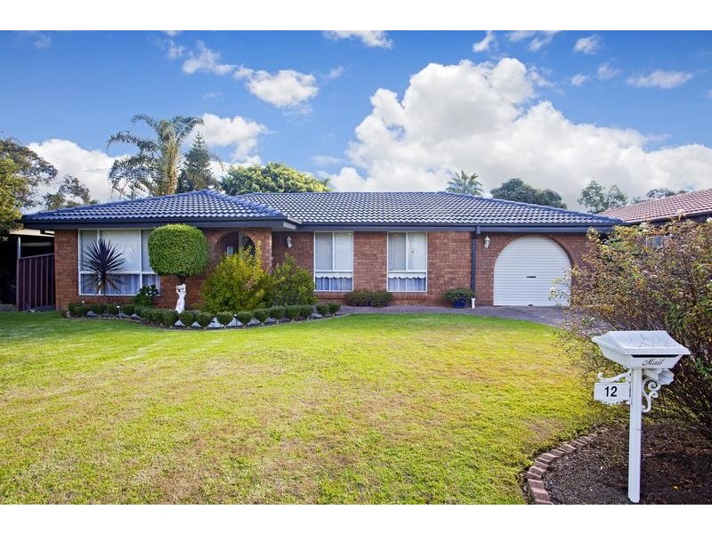 12 Radcliffe Street, Ingleburn NSW 2565