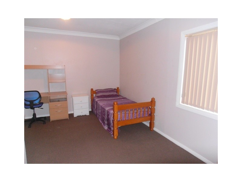 54 Carlisle Street, Ingleburn NSW 2565