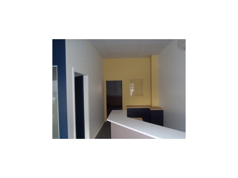 77 Macquarie Rd, Ingleburn NSW 2565