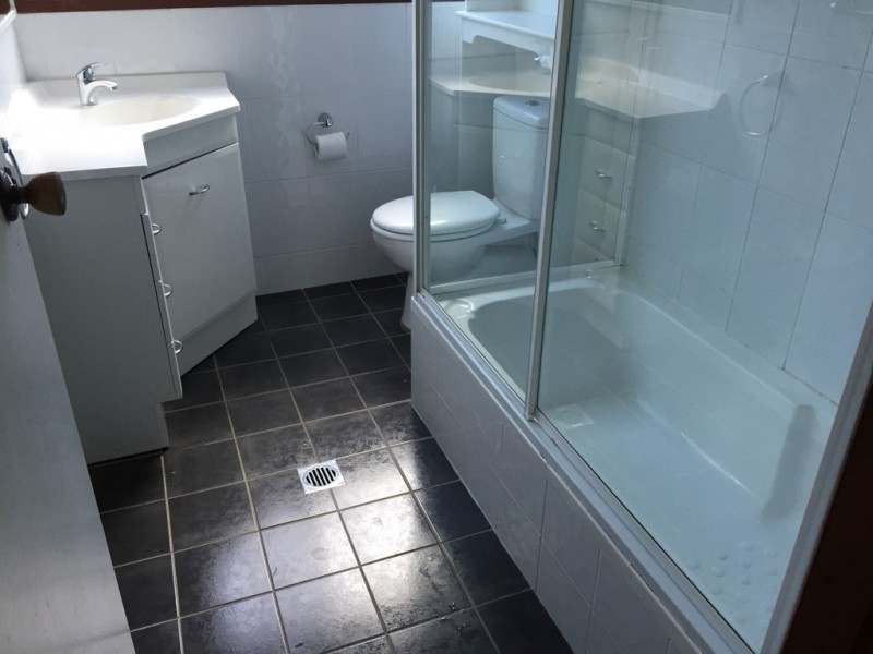 4 Daimler Place, Ingleburn NSW 2565