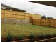 199 Longhurst Road, Minto NSW 2566