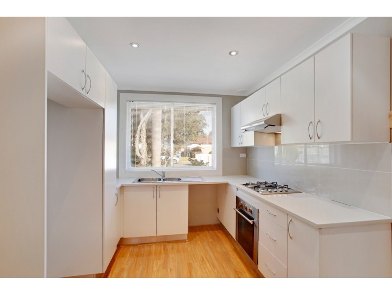 123 Lancia Drive, Ingleburn NSW 2565