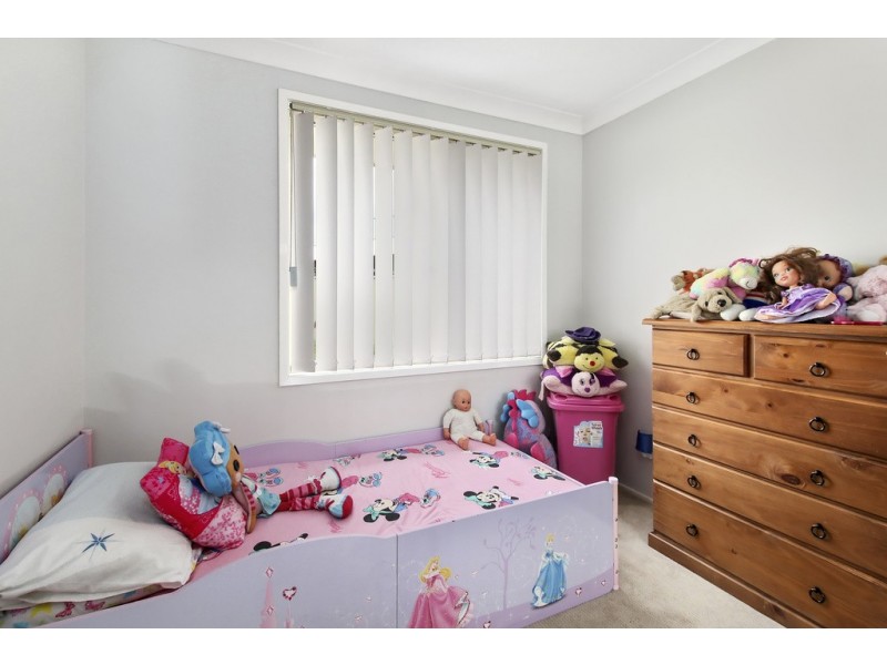 51 Freeman Circuit, Ingleburn NSW 2565